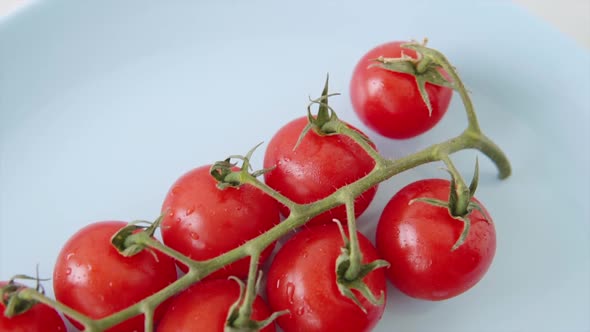 Branch with Fresh Red Cherry Organic Tomatoes on the Plate Top View Closeup View