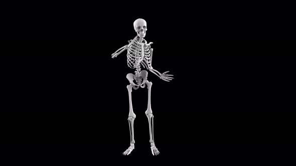 Skeleton Dance 03