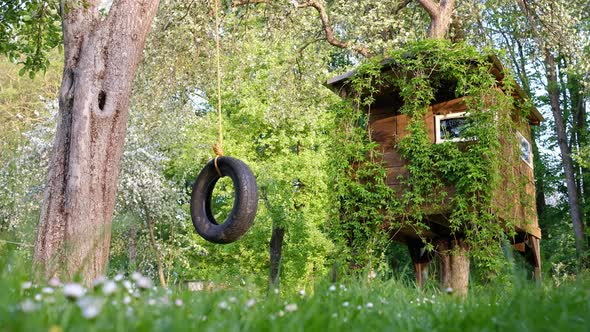 House on Tree