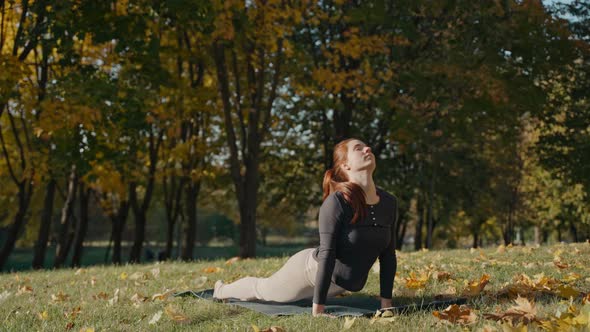 Young Woman Doing Quarter Dog and Warrior Pose in Autumn City Park on a Yoga Mat