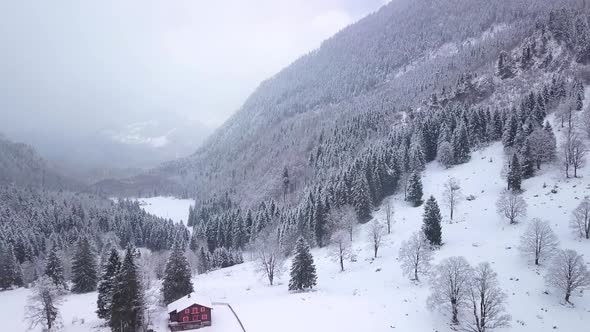 Aerial view over a valley with a lot of snows, trees and forest in Switzerland while winter. alt