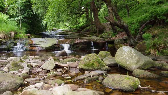 Slow flowing moorland stream with water moving over small and large rocks and overhanging trees. Sho alt