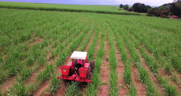 Sugarcane plantation being fertilized. Aerial View. alt