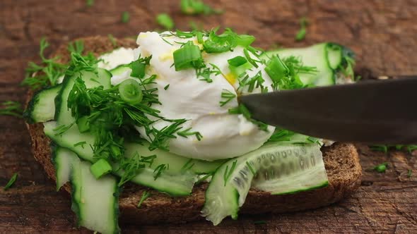 chicken poached egg  alt