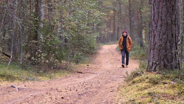 Caucasian Man Wearing Backpack Walking in the Coniferous Forest