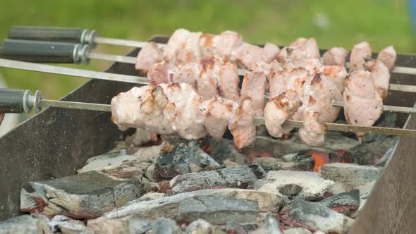 Marinated Shashlik Preparing on a Barbecue Grill Over Charcoal