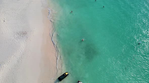 Palm Beach Aruba Amazing Tropical Beach with Palm Tree Entering the Ocean Against Azur Ocean Gold alt