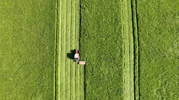 Aerial view of a tractor mowing a green fresh grass alt