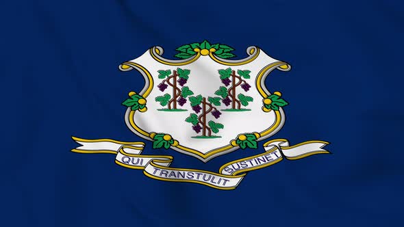 Connecticut  flag seamless closeup waving animation. Vd 2044