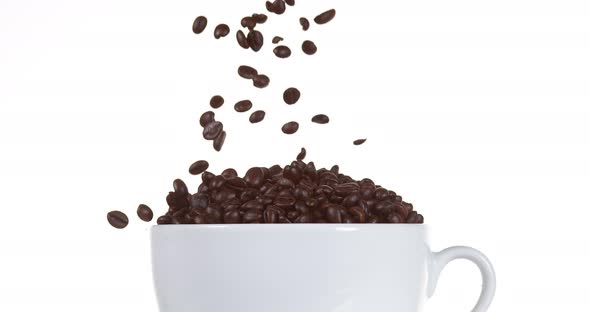 Coffee Beans Falling into a Cup against White Background, Slow Motion 4K
