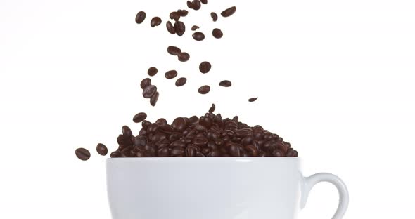 Coffee Beans Falling into a Cup against White Background, Slow Motion 4K alt