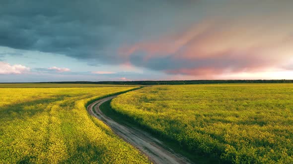 Flight Aerial Elevated Top View Of Spring Season Agricultural Landscape With Flowering Blooming alt