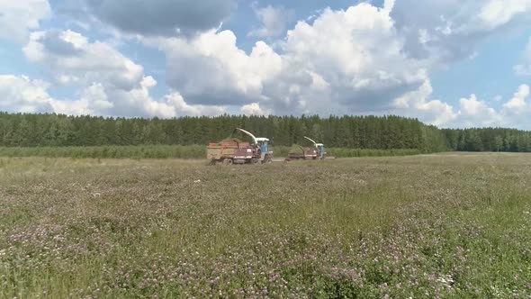 Drone view of Combines harvesting, truck and tractor on grass field. 29 alt