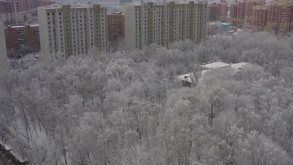 A Winter Cityscape After a Snowfall