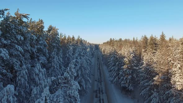 A Narrow Forest Road Between the Snow-Covered Firs and Pines.