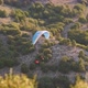 Tourist Fly In The Sky, Paragliding - VideoHive Item for Sale