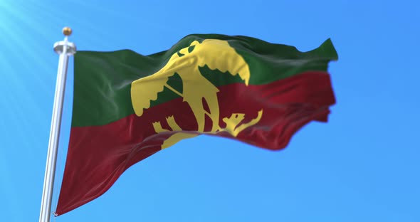 Flag of Brussels, Belgium alt