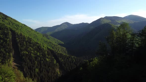 Aerial View of the Valley Between Steep Hills with Dense Forests in the Carpathian Mountains