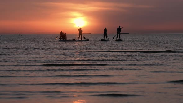 SUP Surfing at Sunset