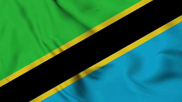Tanzania flag seamless closeup waving animation