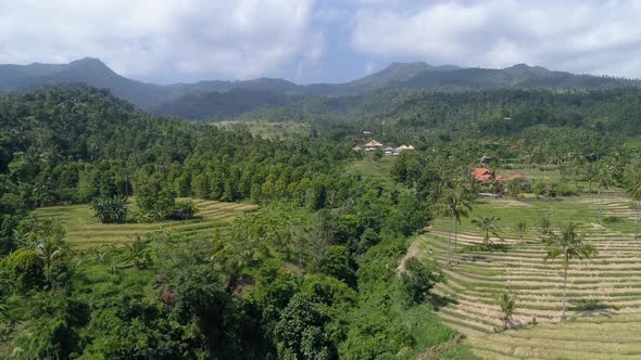 Aerial view of Rice Terraces and jugles in Ubud, Bali, Indonesia alt