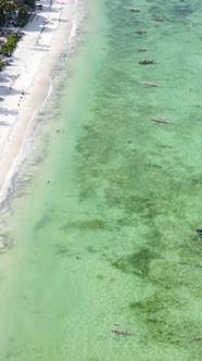 Beach on the Coast of Zanzibar Island Tanzania alt