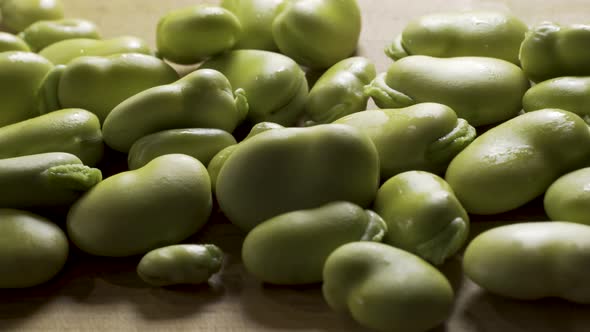 Slider shot from right to left of a close up of a pile of sweating, backlit, green fava beans. alt