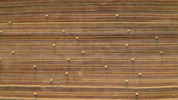 Aerial View of the Field with Hay Bales or Straw Bales After Harvest alt