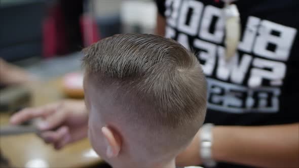 Children's Haircut in the Salon, A Little Boy Gets a Haircut in the Hairdresser. Children's Styling alt