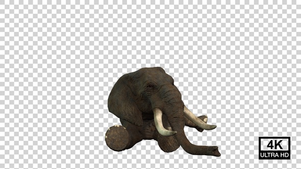 Elephant Rest Front View alt