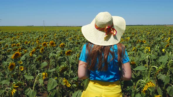 Adorable young girl in white straw hat and blue t-shirt in yellow sunflowers crops field alt