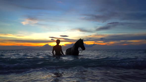 Silhouette of a Horseman with Stallion Walking Out the Wavy Ocean Water Stunning Sunset on the alt