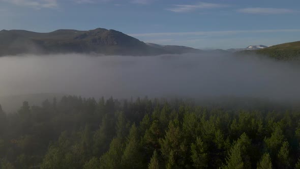 Drone flying through fog over a forest in the mountains of Norway alt