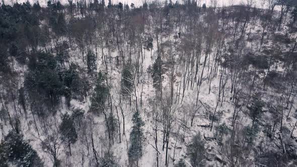 4K drone flight above winter forest scenery after the first snow fall of the year in Louisville, KY alt
