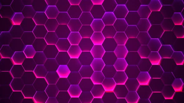 Pink Color Neon Light Hexagon Animated Background alt