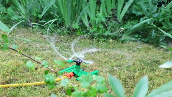 An automatic lawn sprinkler restores and water the garden. Slow motion.