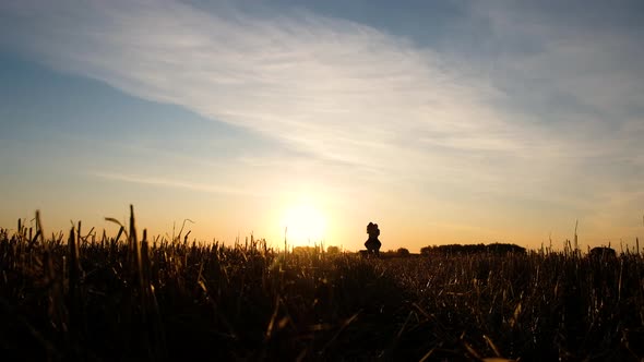Romantic Couple Running on Wheat Field alt