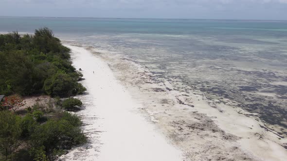 Zanzibar Tanzania  Low Tide in the Ocean Near the Shore alt