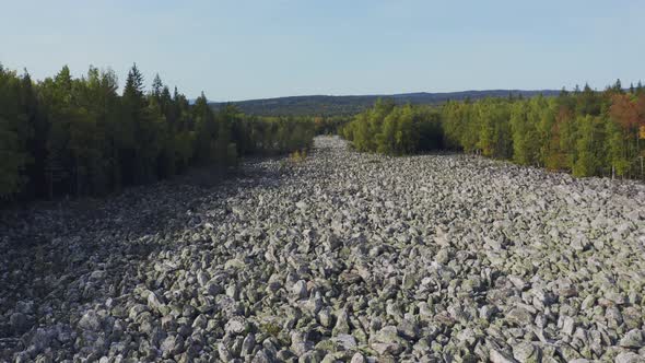 Stone Waves Among the Forest alt