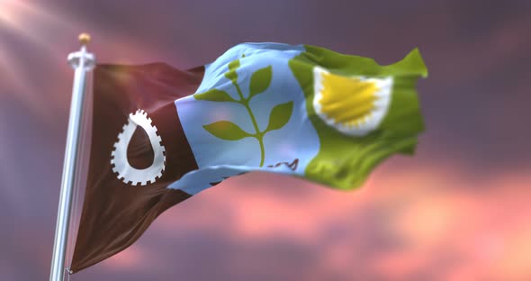 Fresno City Flag, United States alt