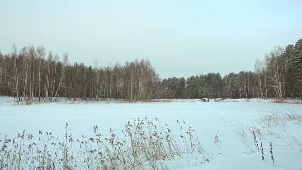 Beautiful Winter Landscape, Forest Lake and Snow