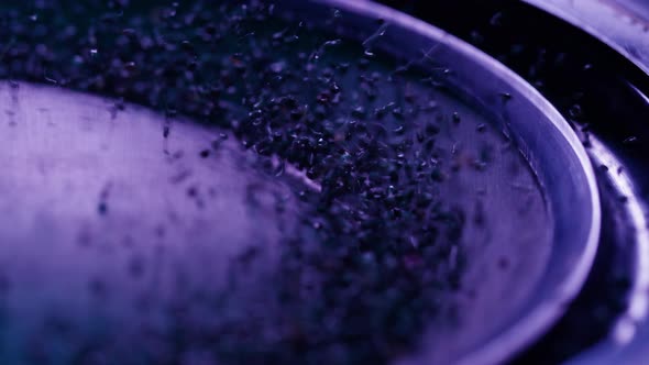 Bass Speaker Acoustic Sound System Closeup Flying Confetti Sweets alt