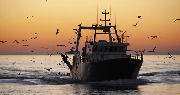 fishing boat coming back to the harbour at sunset, France alt