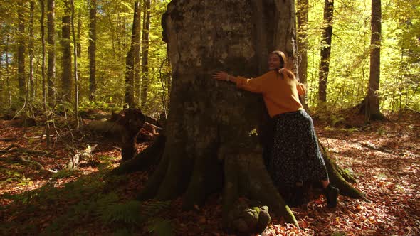 Pretty Girl Hugs the Mighty and Tall Tree Trunk Surrounded Colorful Landscape and Fallen Leaves in