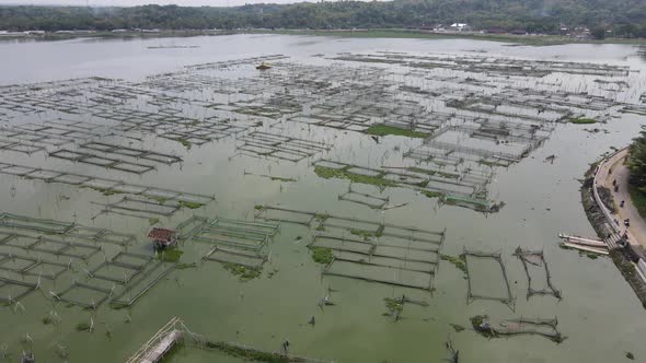 Aerial view of traditional floating fish pond on swamp in Indonesia alt