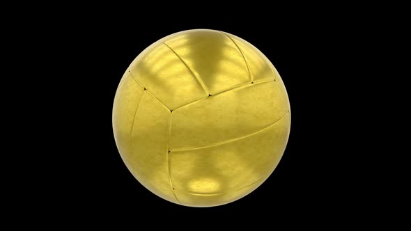 Gold Volleyball Ball Alpha Loop