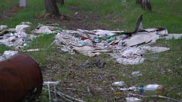 Footage Forest Pollution. Dump Garbage in Woods alt