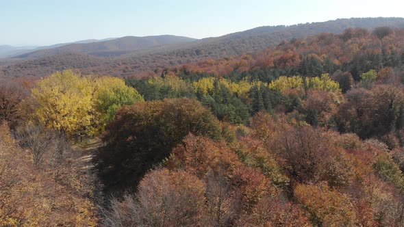 Sabaduri Mountain. Autumn forest. Georgia alt