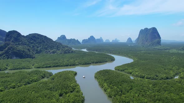 Aerial view drone shot of beautiful nature landscape forest in the morning Drone flying over sea alt