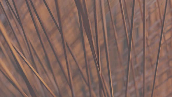 3d render abstract geometric shapes in the form of bamboo